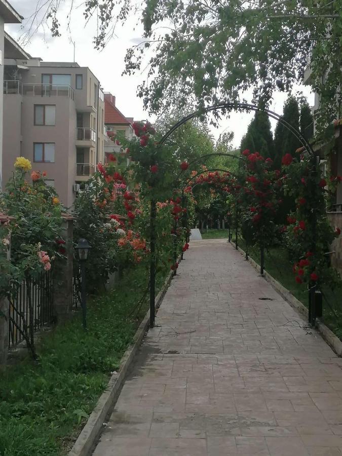 Private Apartments In Apolon Ράβντα Εξωτερικό φωτογραφία